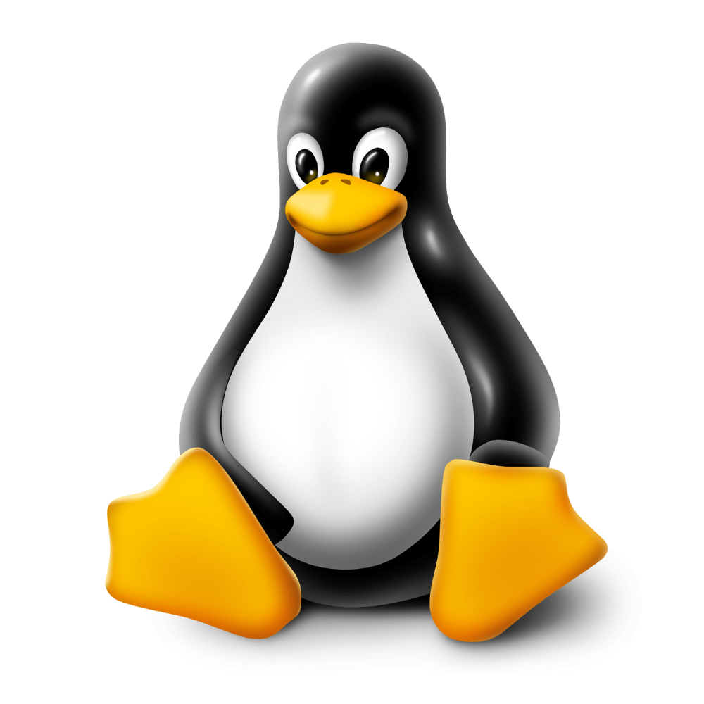 Linux Kullanıcıları İçin En İyi 10 Dağıtım
